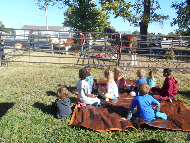 horse and cow